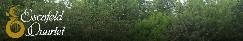 escafeld string quartet header